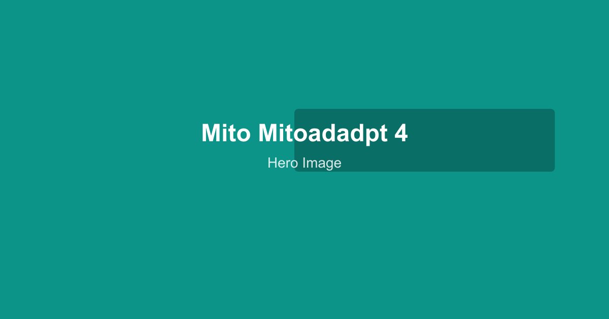 Mito MitoADAPT 4.0 panel showing touchscreen controller interface